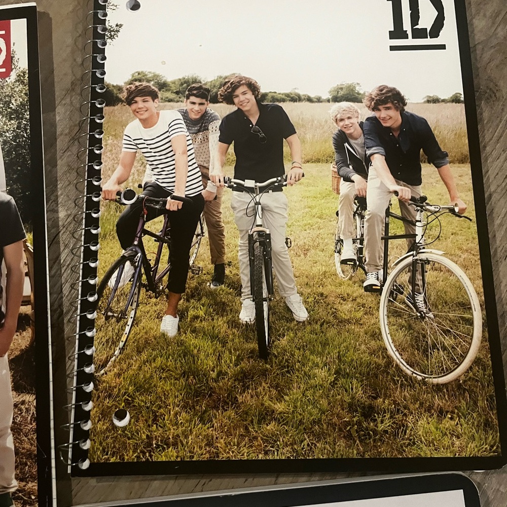 1D Notebooks Bundle - Picture 7 of 8